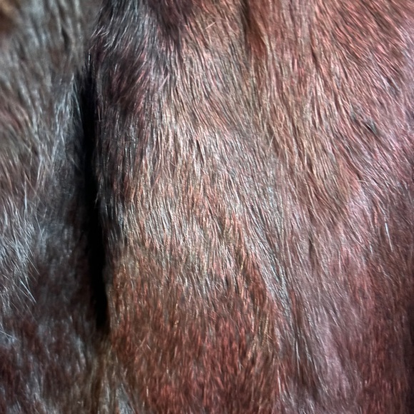 Vintage Split End Ltd 100% Rabbit Fur Coat Burgundy Size Mefium - Picture 4 of 9